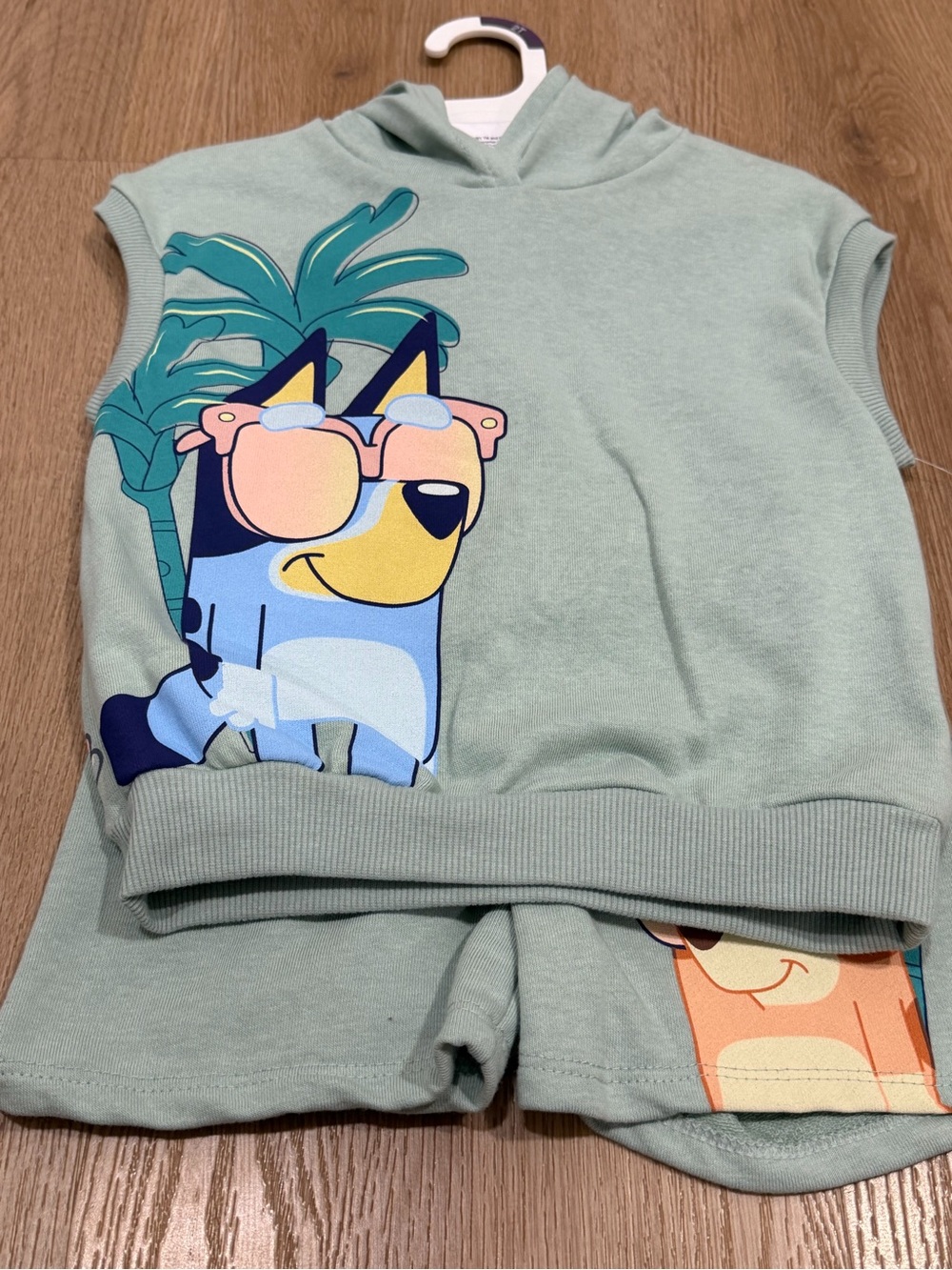 Bluey Kids Mint Green Hooded shorts Set with Sunglasses Pup Graphic